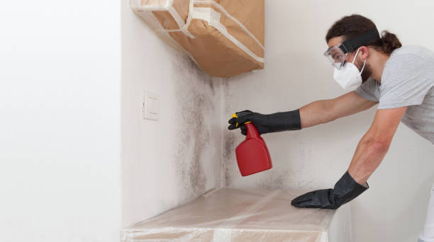 Professional Mold Testing technician working in Brookside, NJ