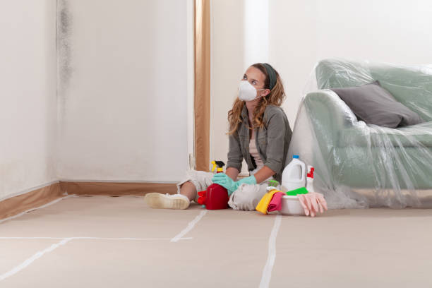 Reliable Mold Testing contractor in Brookside, NJ by WQB Mold Removal
