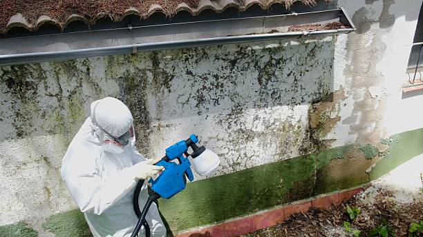 Top rated local Mold Testing specialists in Brookside, NJ